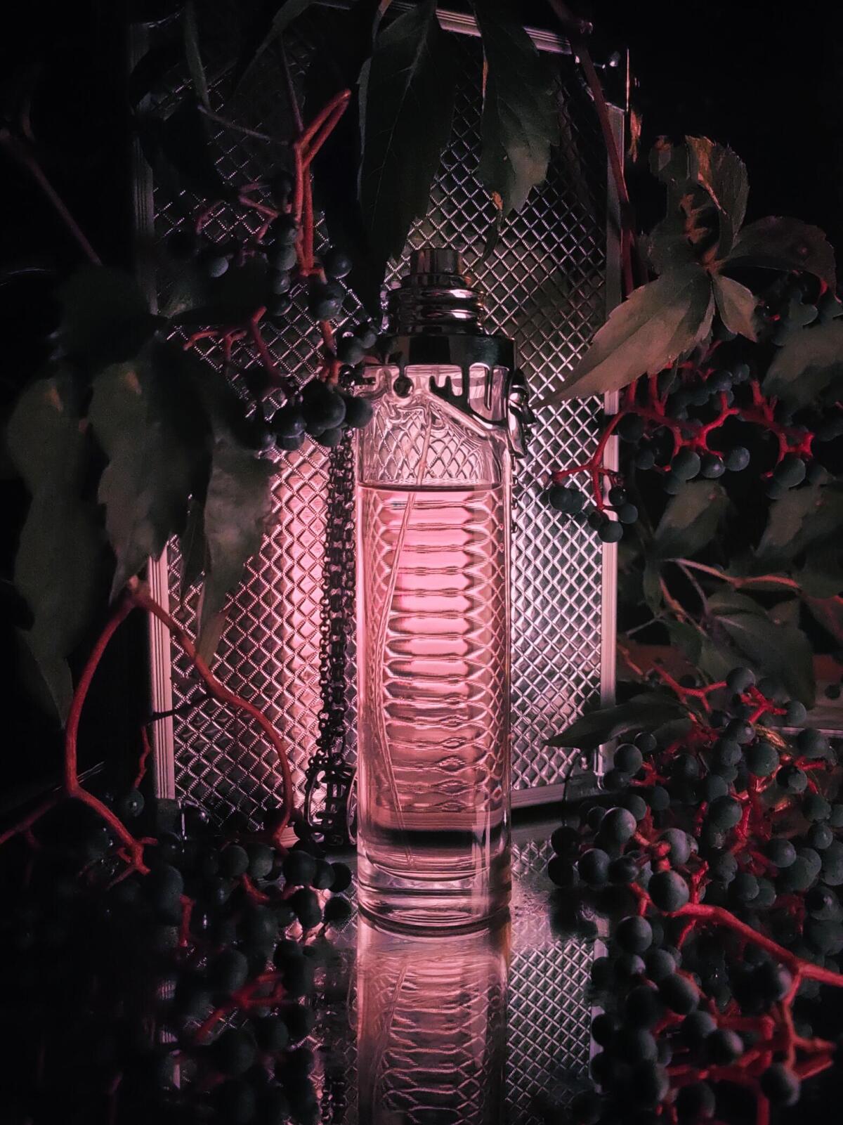 عطر ادکلن وومنیتی او پور ال ماگلر - Womanity Eau pour Elles Mugler - بررسی، قیمت و خرید