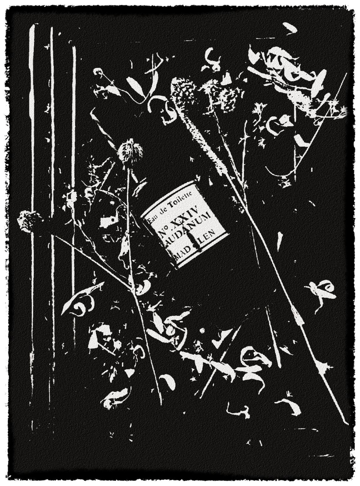 عطر ادکلن نو ایکس‌ایکس‌آی‌وی لادنوم مد لن - No. XXIV Laudanum Mad et Len - بررسی، قیمت و خرید