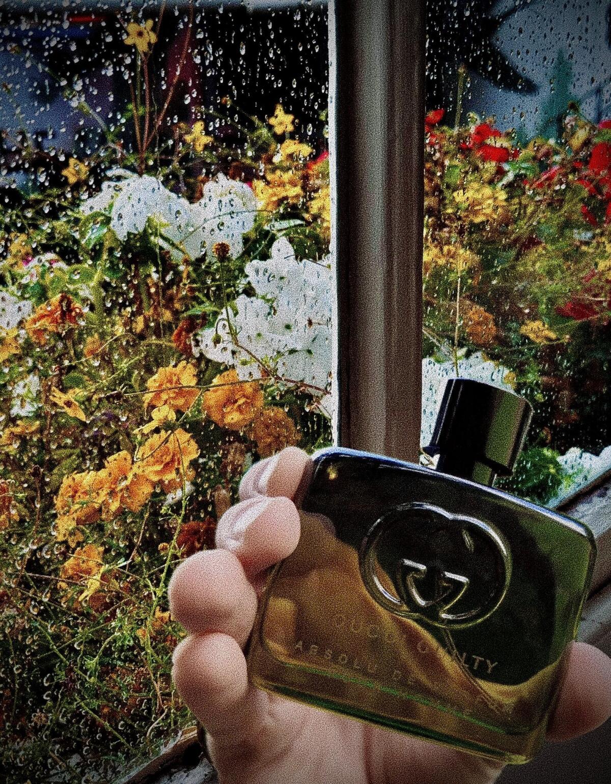 عطر ادکلن گوچی گیلتی ابسولو د پرفیوم پور هوم گوچی - Gucci Guilty Absolu de Parfum Pour Homme Gucci - بررسی، قیمت و خرید