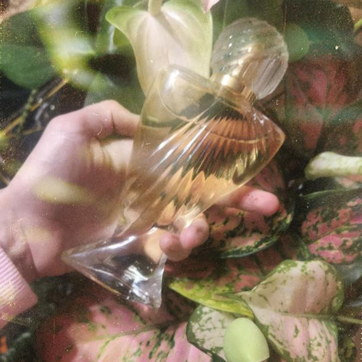 عطر ادکلن سایرِن پاریس هیلتون - Siren Paris Hilton - بررسی، قیمت و خرید