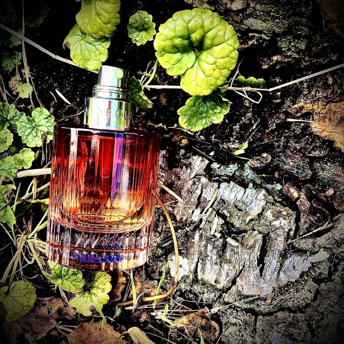 عطر ادکلن مقنیفیک لانکوم - Magnifique Lancôme - بررسی، قیمت و خرید