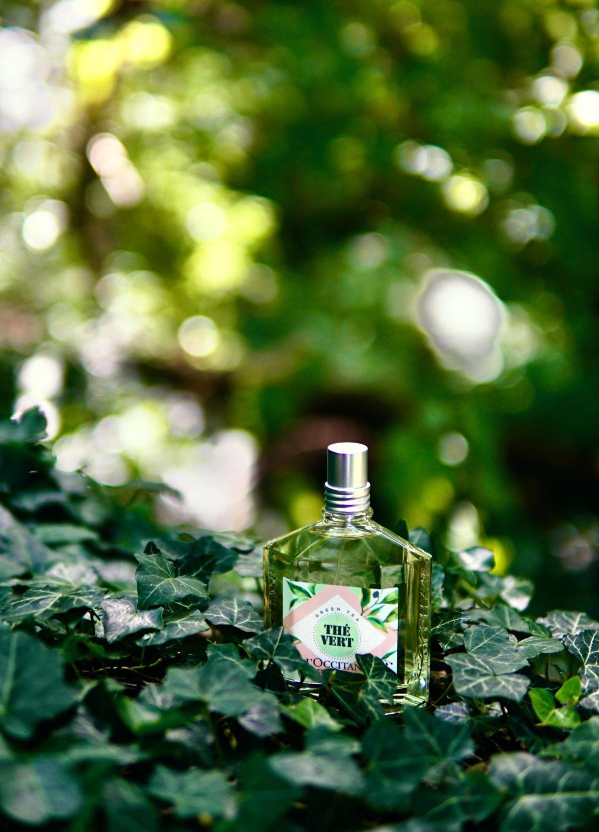 عطر ادکلن ته وِر لوکیتان - Thé Vert L'Occitane en Provence - بررسی، قیمت و خرید