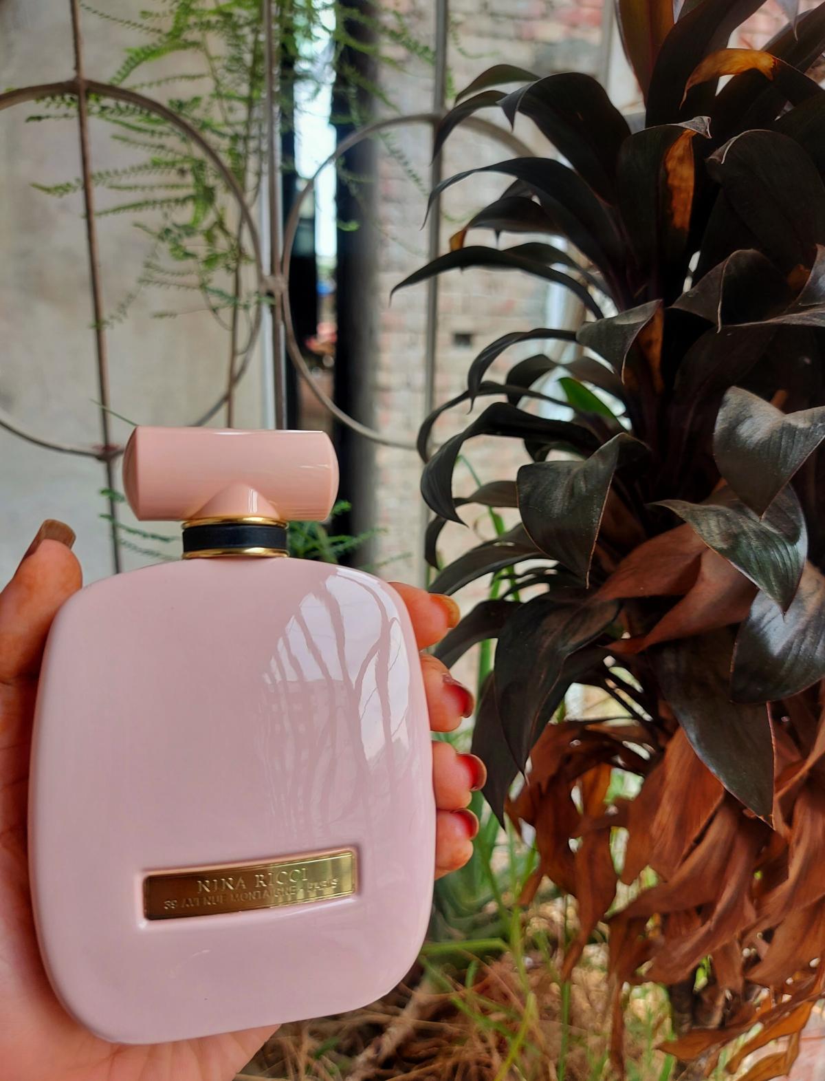 عطر ادکلن رز اکستاز نینا ریچی - Rose Extase Nina Ricci - بررسی، قیمت و خرید