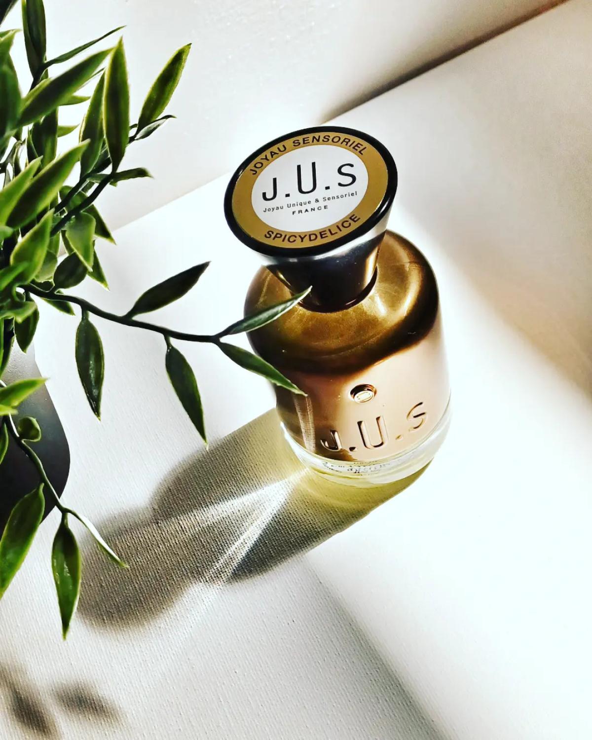عطر ادکلن اسپایسی دلیس ژو پرفیوم - Spicydelice J.U.S Parfums - بررسی، قیمت و خرید