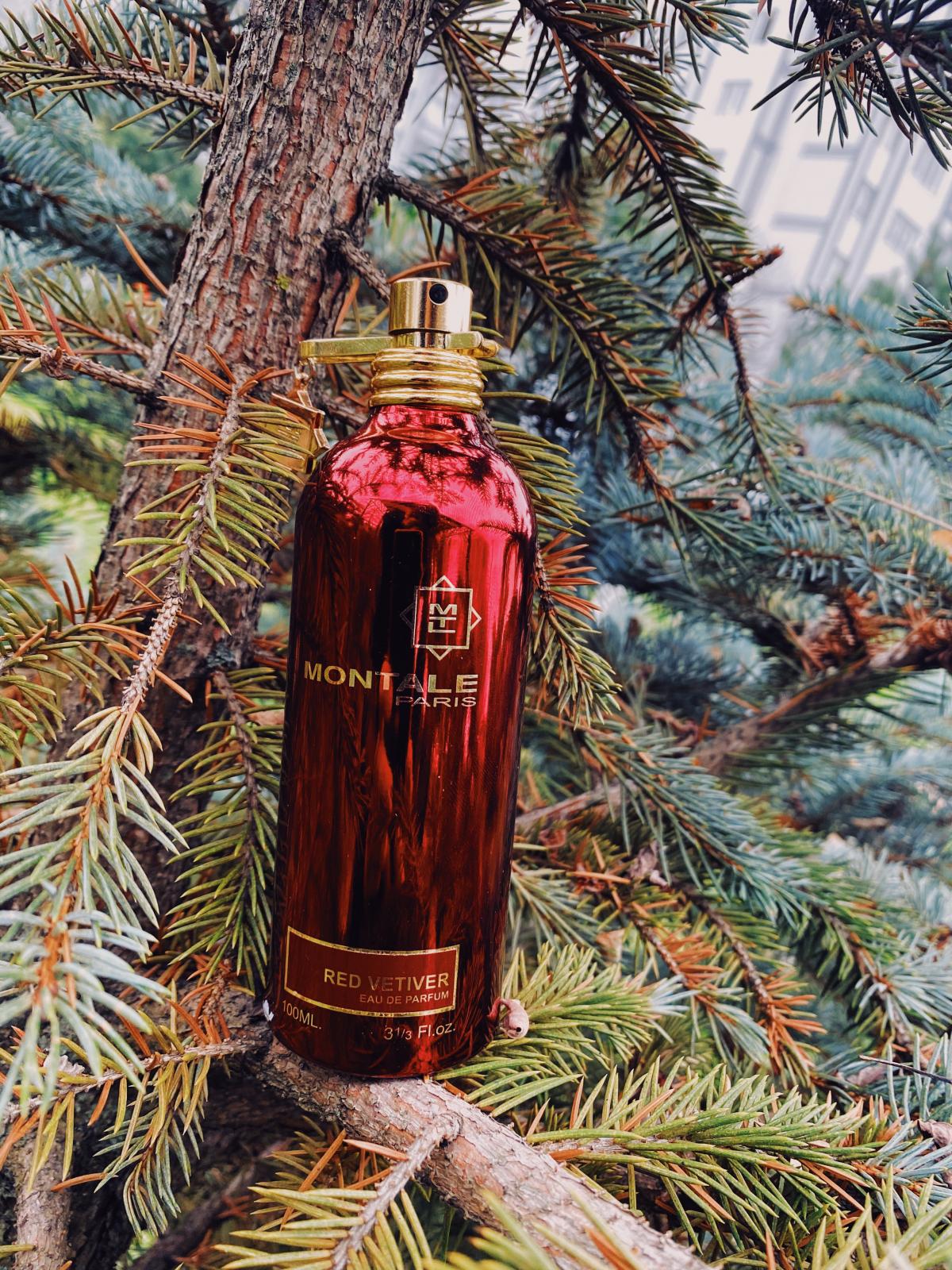 عطر ادکلن رد وتیور مونتال - Red Vetiver Montale - بررسی، قیمت و خرید