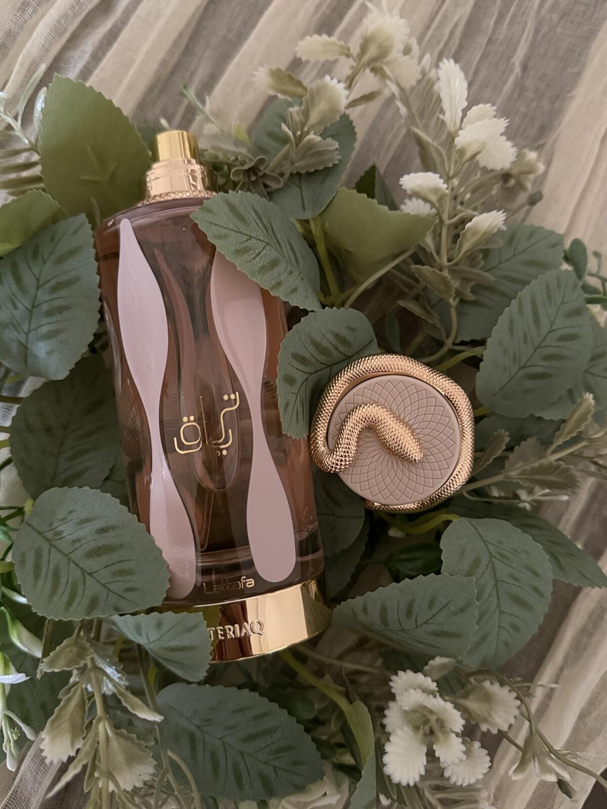 عطر ادکلن تریاق لطافا پرفیومز - Teriaq Lattafa Perfumes - بررسی، قیمت و خرید