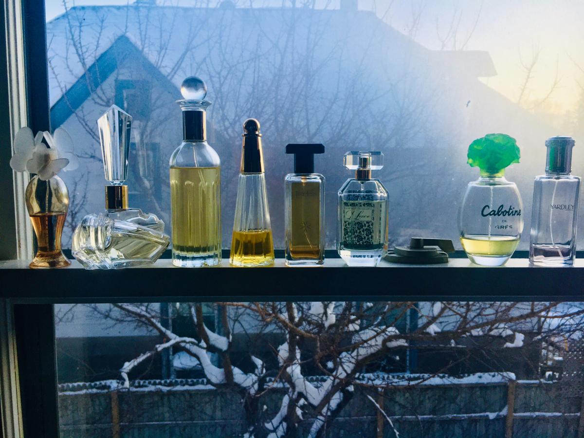 عطر ادکلن دریمز ماریا کری - Dreams Mariah Carey - بررسی، قیمت و خرید