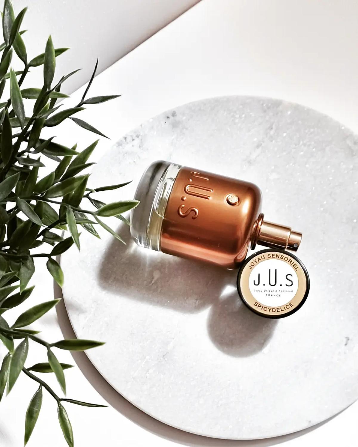 عطر ادکلن اسپایسی دلیس ژو پرفیوم - Spicydelice J.U.S Parfums - بررسی، قیمت و خرید