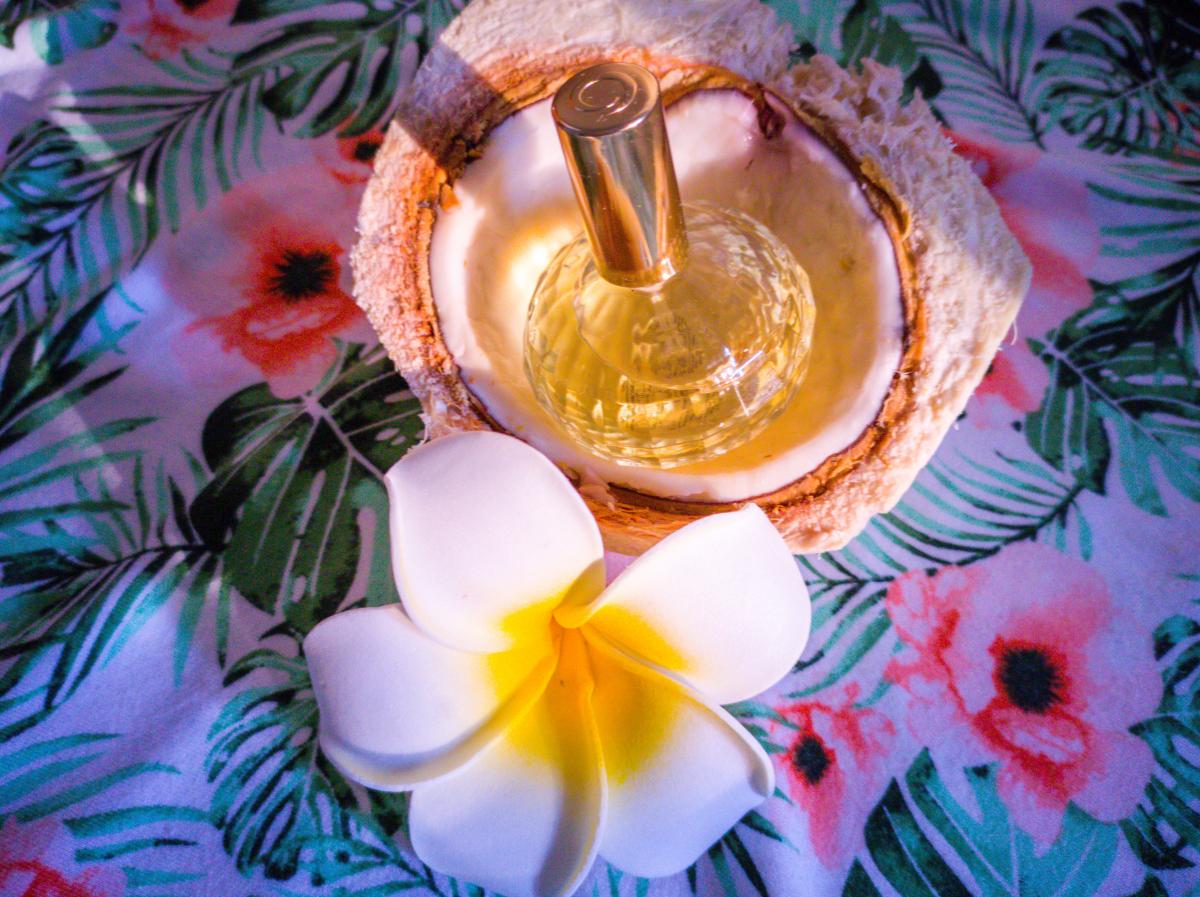عطر ادکلن مموریز دی‌دریمینگ این ا هموک اوریفلیم - Memories Daydreaming in a Hammock Oriflame - بررسی، قیمت و خرید