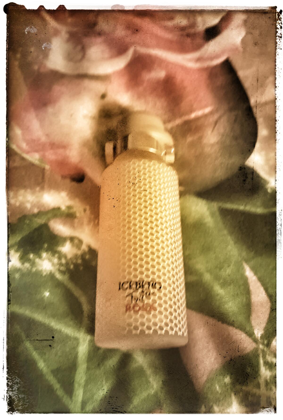 عطر ادکلن آیسبرگ توایس روزا فور هر آیس‌برگ - Iceberg Twice Rosa For Her Iceberg - بررسی، قیمت و خرید