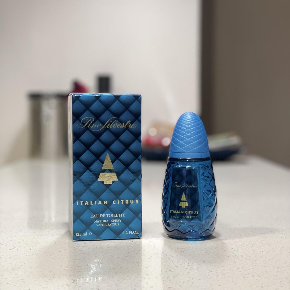 عطر ادکلن پینو سیلوستره مدیترانه‌و پینو سیلوستر - Pino Silvestre Mediterraneo Pino Silvestre - بررسی، قیمت و خرید