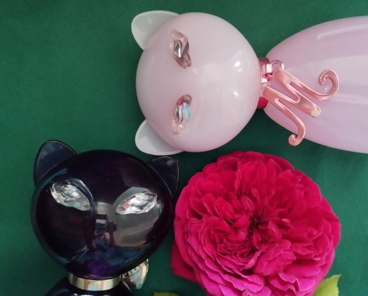عطر ادکلن میو کیتی پری - Meow Katy Perry - بررسی، قیمت و خرید