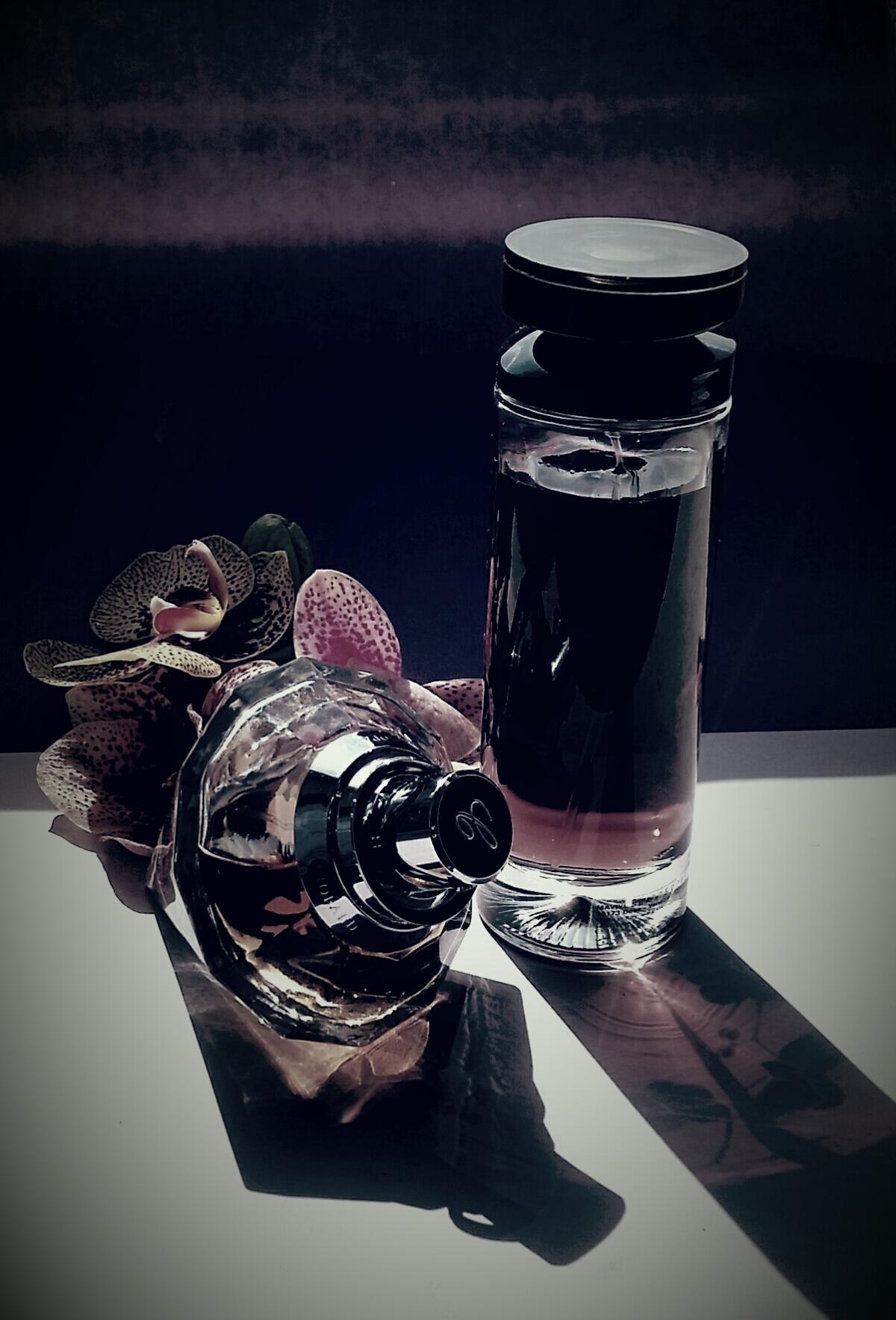 عطر ادکلن پلیس دارک ومن پلیس - Police Dark Women Police - بررسی، قیمت و خرید