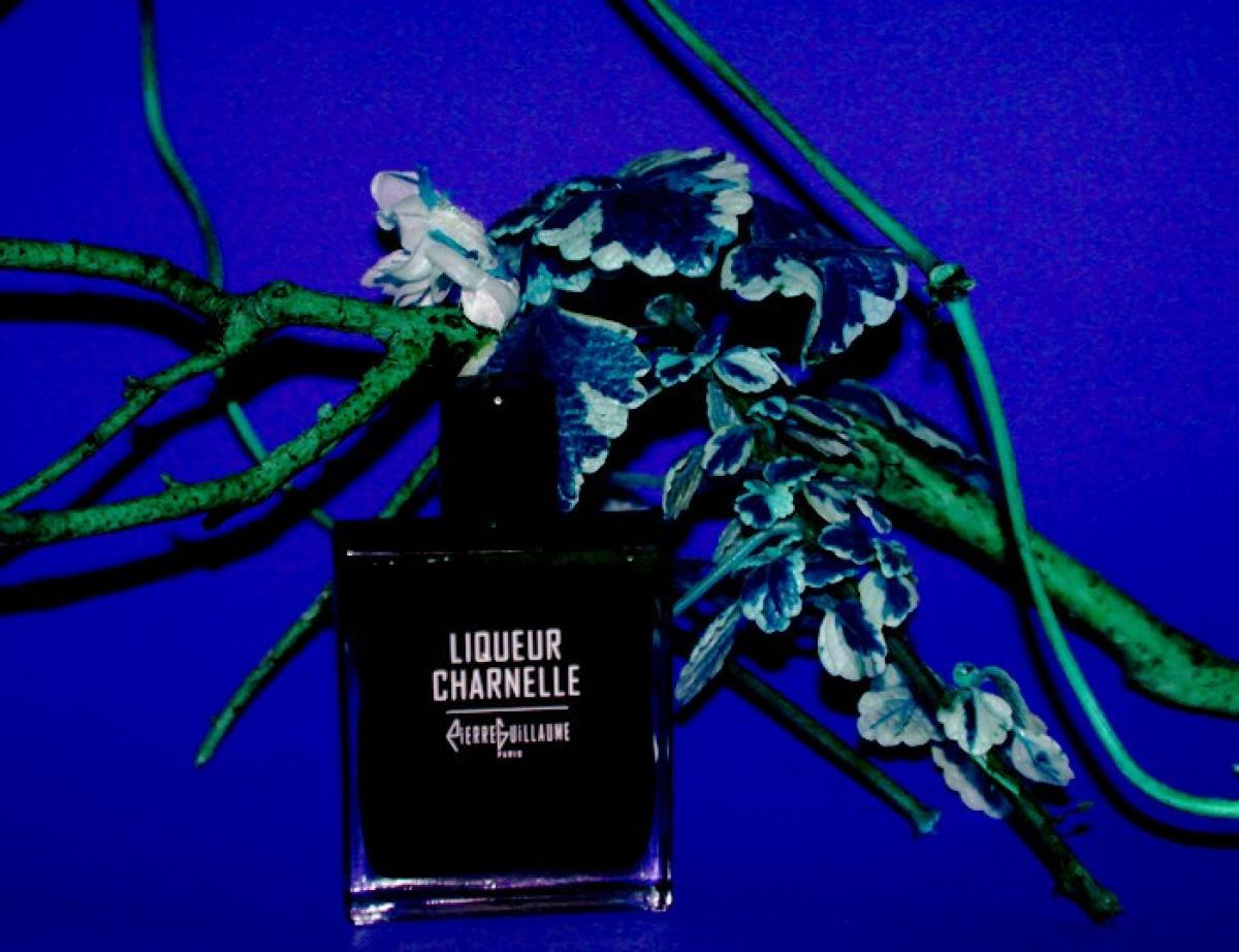 عطر ادکلن لیکور چرنل پیر گیوم پاریس - Liqueur Charnelle Pierre Guillaume Paris - بررسی، قیمت و خرید