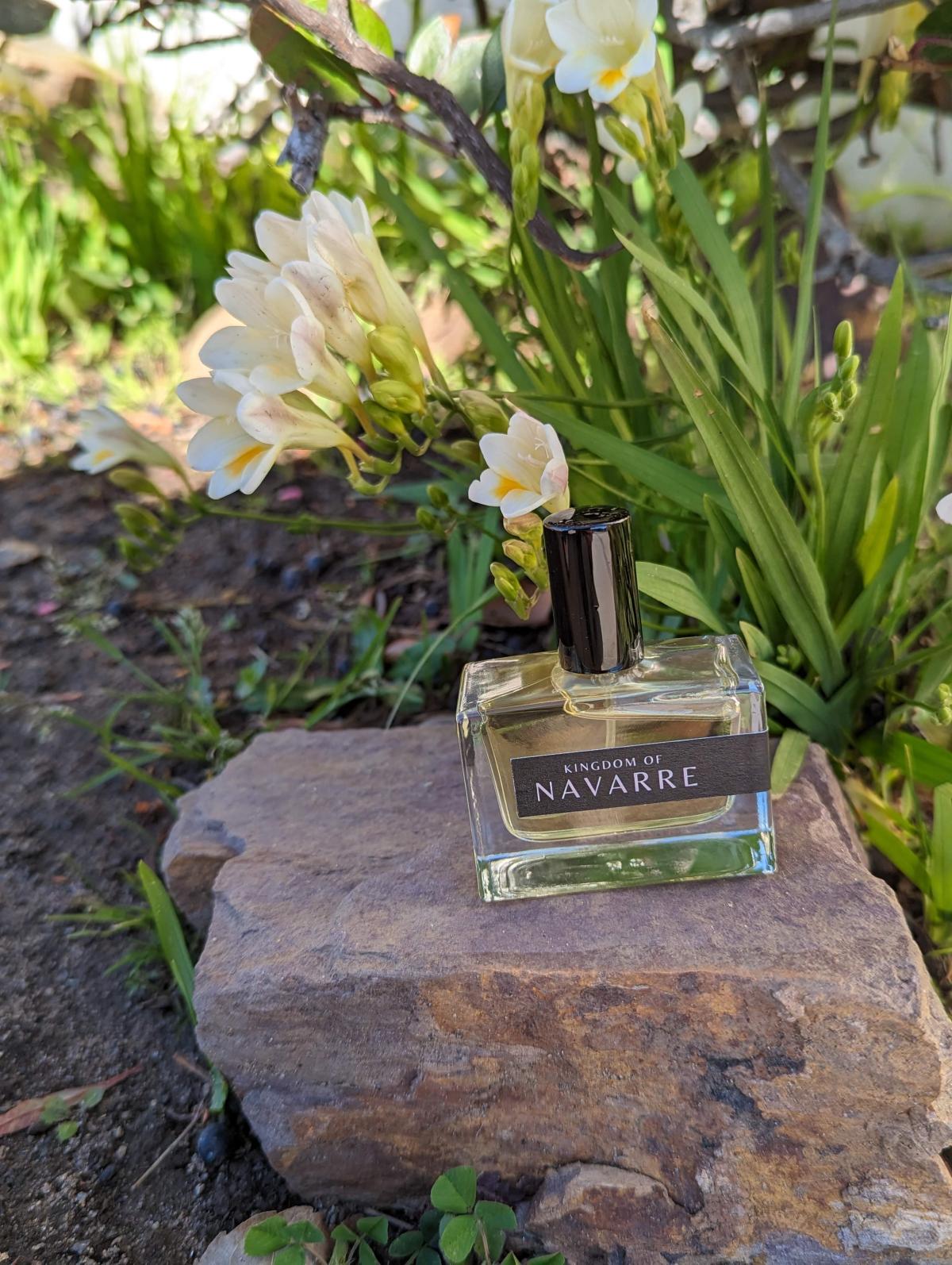 عطر ادکلن دریم کچر ژیان کروکه پارفوم - Dreamcatcher Jil CROQUET Parfum - بررسی، قیمت و خرید