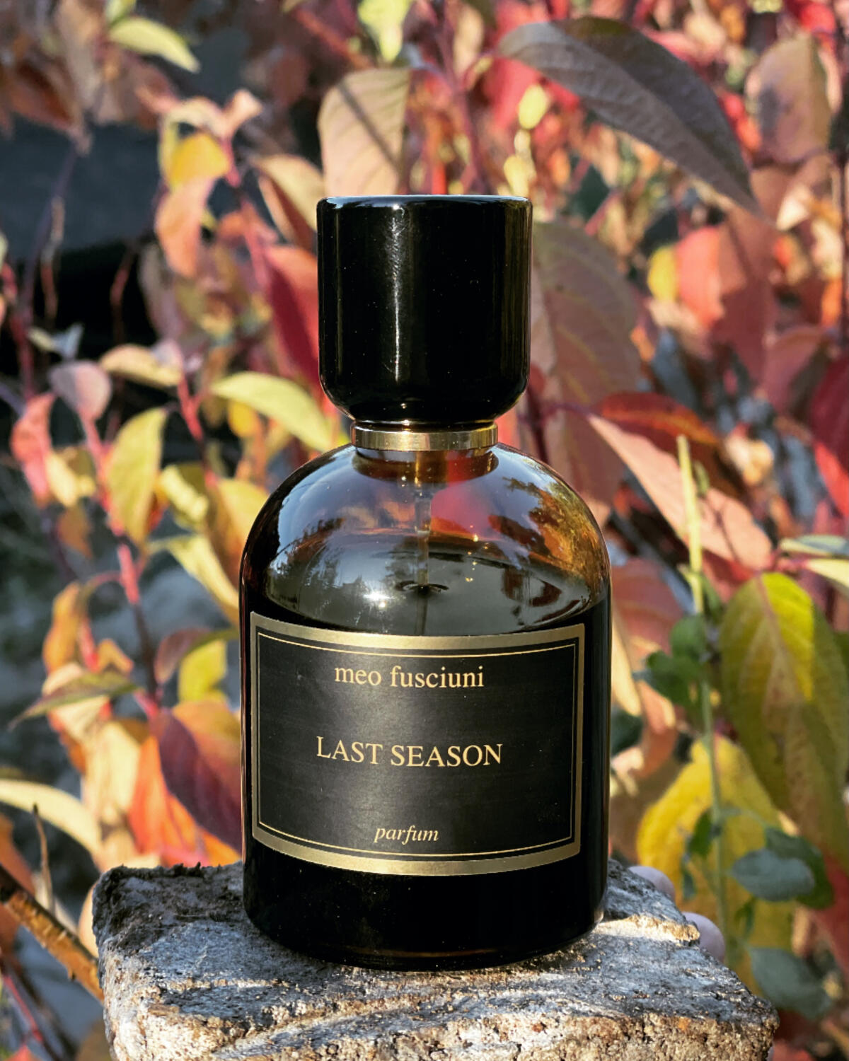 عطر ادکلن لست سیزن میو فوشیونی - Last Season Meo Fusciuni - بررسی، قیمت و خرید
