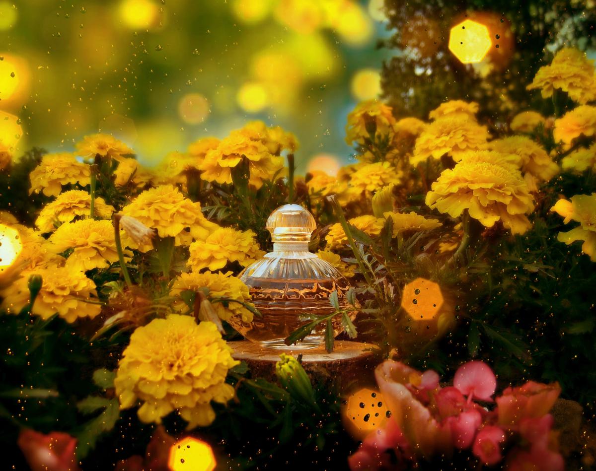 عطر ادکلن پری سوان اوریفلیم - Pretty Swan Oriflame - بررسی، قیمت و خرید