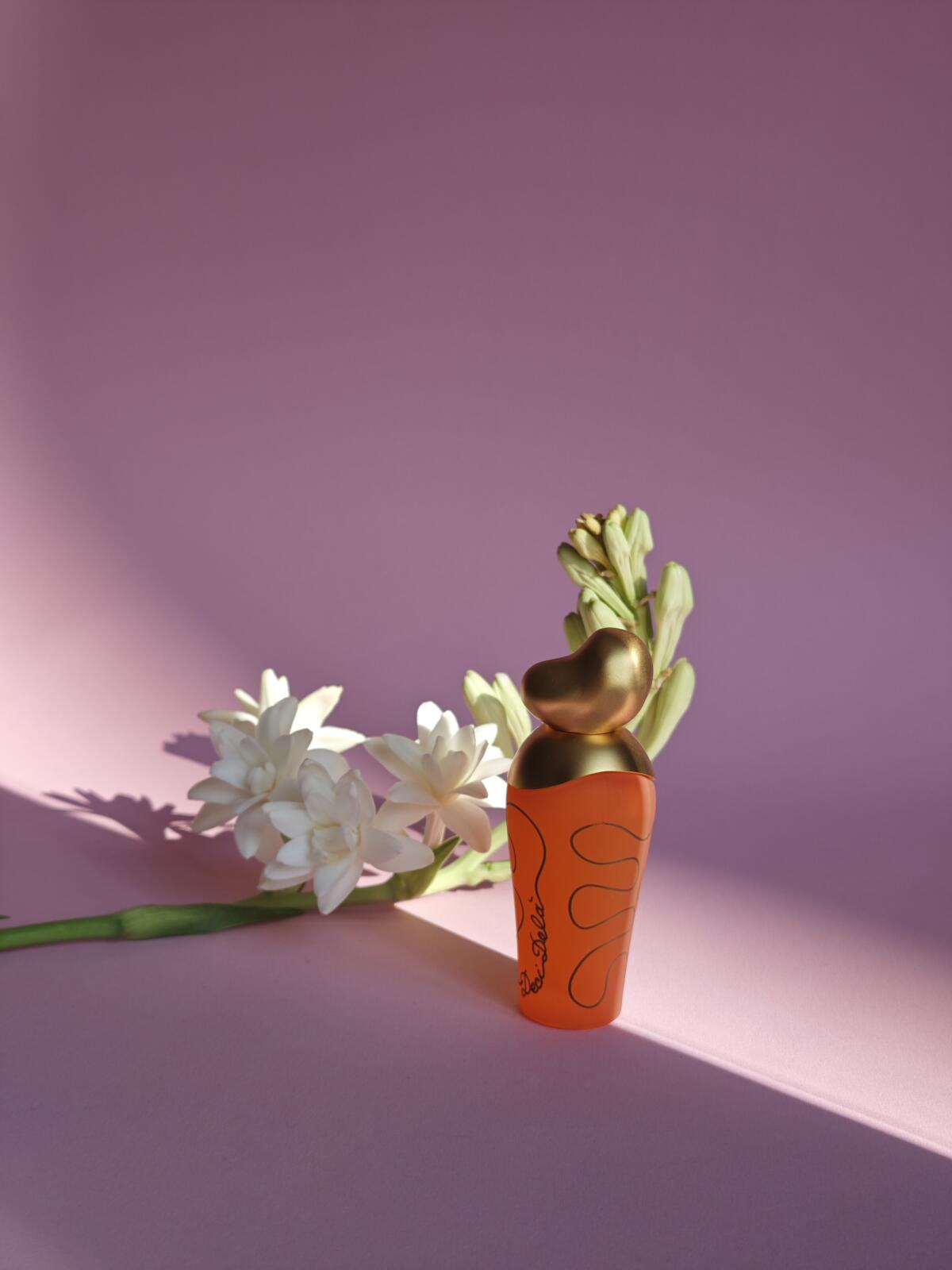 عطر ادکلن دیسی دلا نینا ریچی - Deci Dela Nina Ricci - بررسی، قیمت و خرید