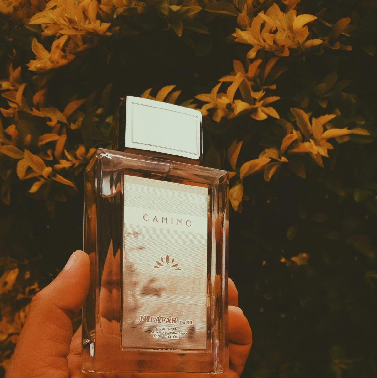 عطر ادکلن کَنینو نیلوفر دو نیل - Canino Nilafar du Nil - بررسی، قیمت و خرید