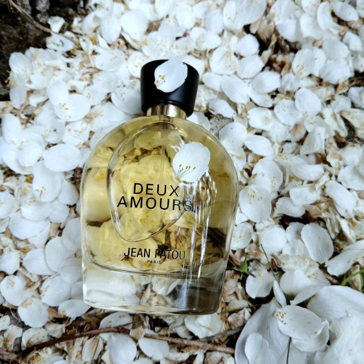 عطر ادکلن کالکشن هریتیج دو آمورز ژیان پاتو - Collection Heritage Deux Amours Jean Patou - بررسی، قیمت و خرید