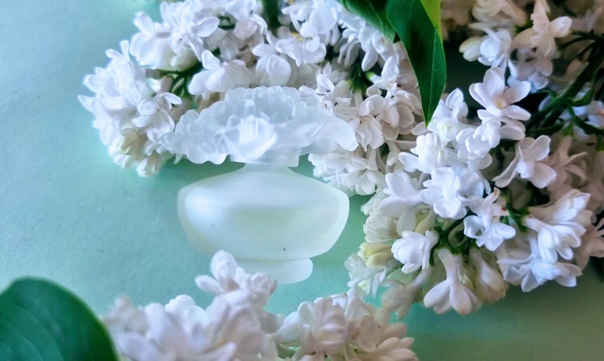 عطر ادکلن اورنج تروپیکال پوپا - Orange Tropical Pupa - بررسی، قیمت و خرید