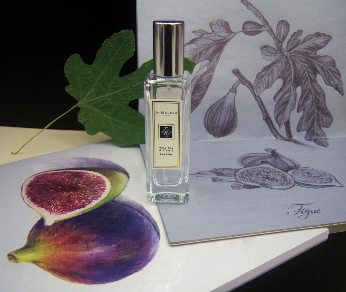 عطر ادکلن وایلد فیگ اند کاسیس جو مالون لندن - Wild Fig & Cassis Jo Malone London - بررسی، قیمت و خرید