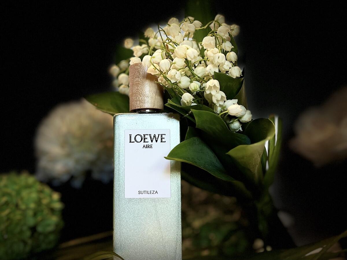 عطر ادکلن آیره سوتیلزا لووه - Aire Sutileza Loewe - بررسی، قیمت و خرید