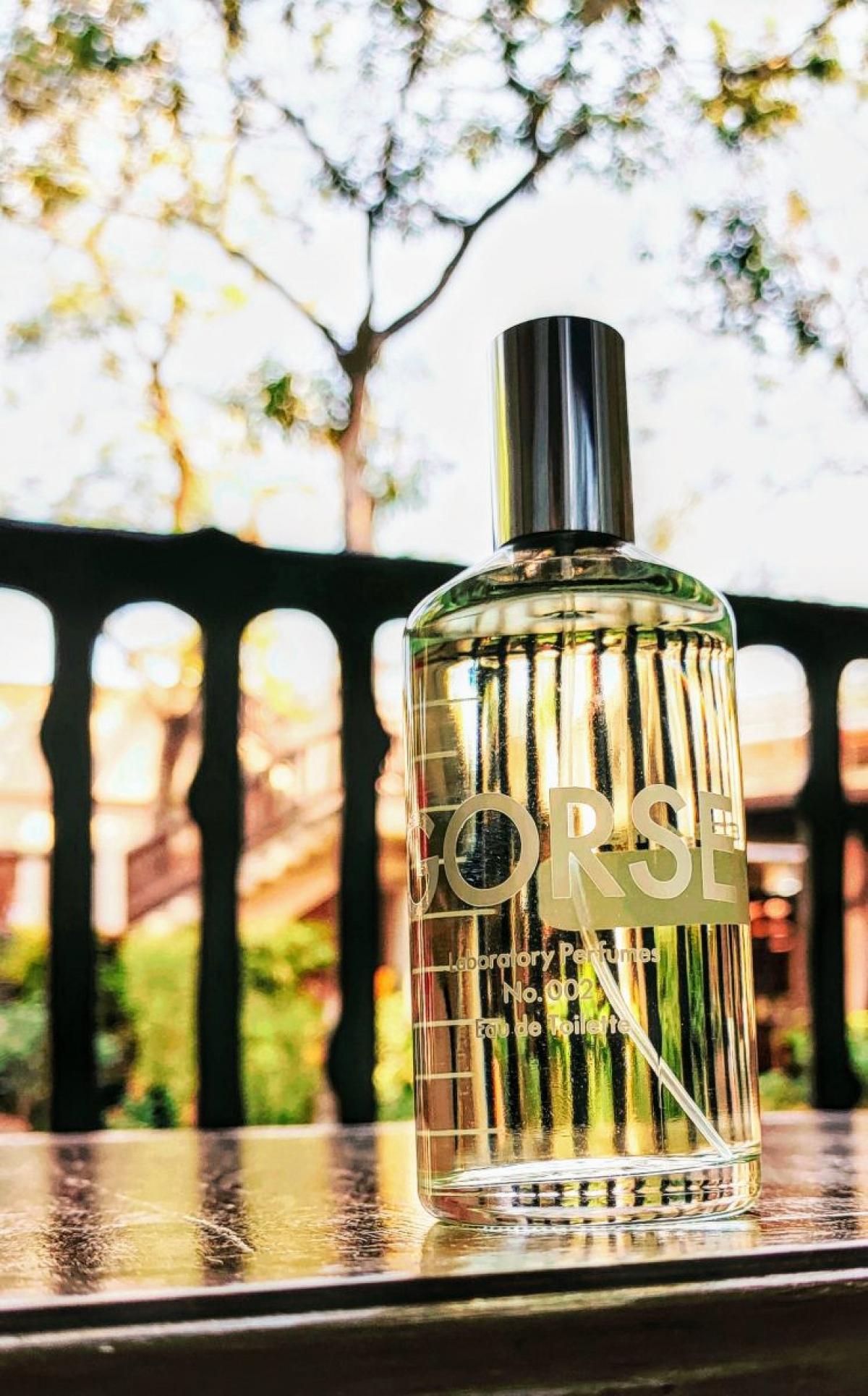 عطر ادکلن گورس لَبُراتوری پِرفیومز - Gorse Laboratory Perfumes - بررسی، قیمت و خرید