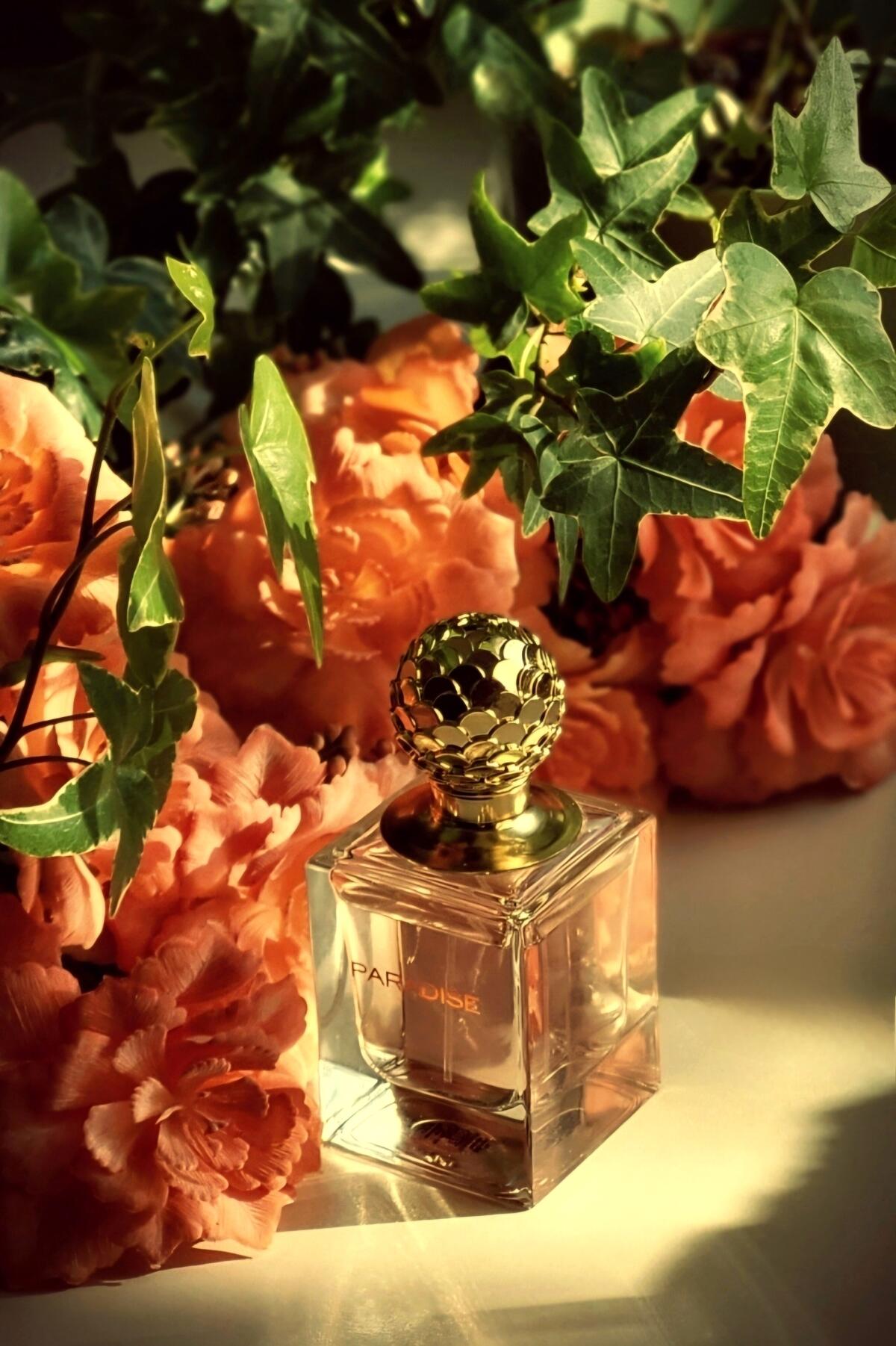 عطر ادکلن پَرادایِس اوریفلیم - Paradise Oriflame - بررسی، قیمت و خرید