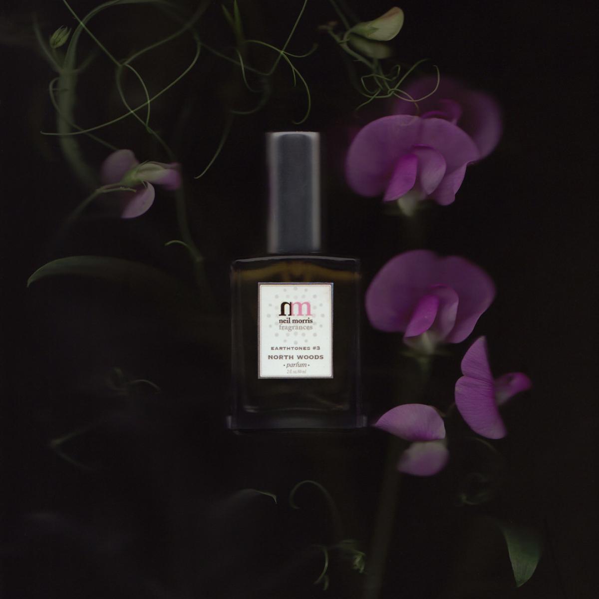 عطر ادکلن اِرس‌تُنز نامبر تری: نُرث وودز نیل موریس - Earthtones #3: North Woods Neil Morris - بررسی، قیمت و خرید