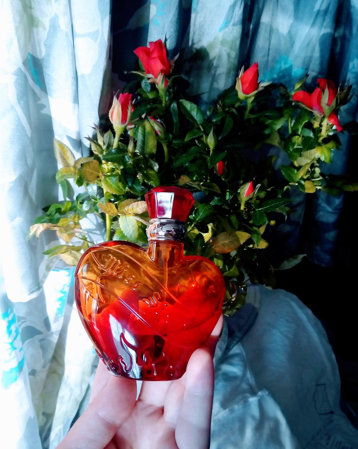 عطر ادکلن میس سیکستی راک میوس میس سیکستی - Miss Sixty Rock Muse Miss Sixty - بررسی، قیمت و خرید