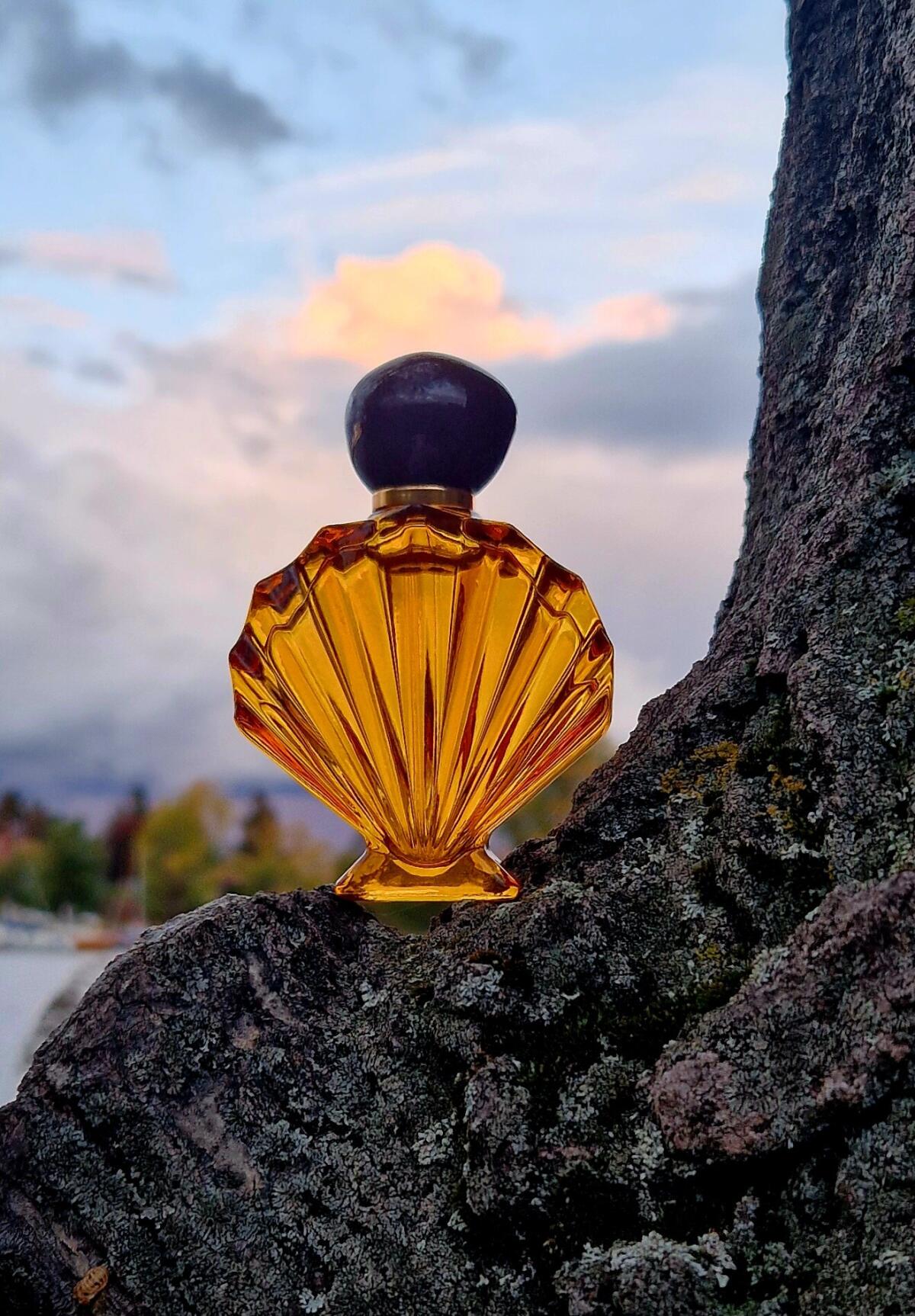 عطر ادکلن ونوس نینا ریچی - Vénus Nina Ricci - بررسی، قیمت و خرید