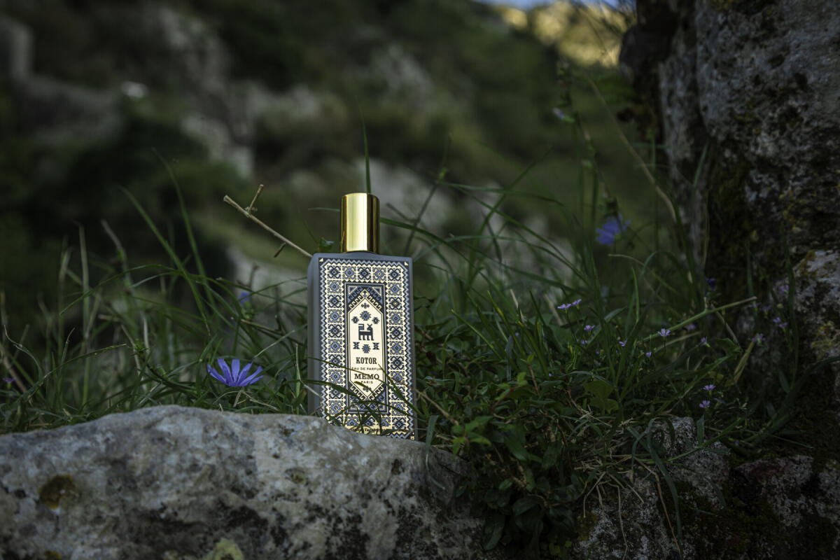 عطر ادکلن کوتور ممو پاریس - Kotor Memo Paris - بررسی، قیمت و خرید