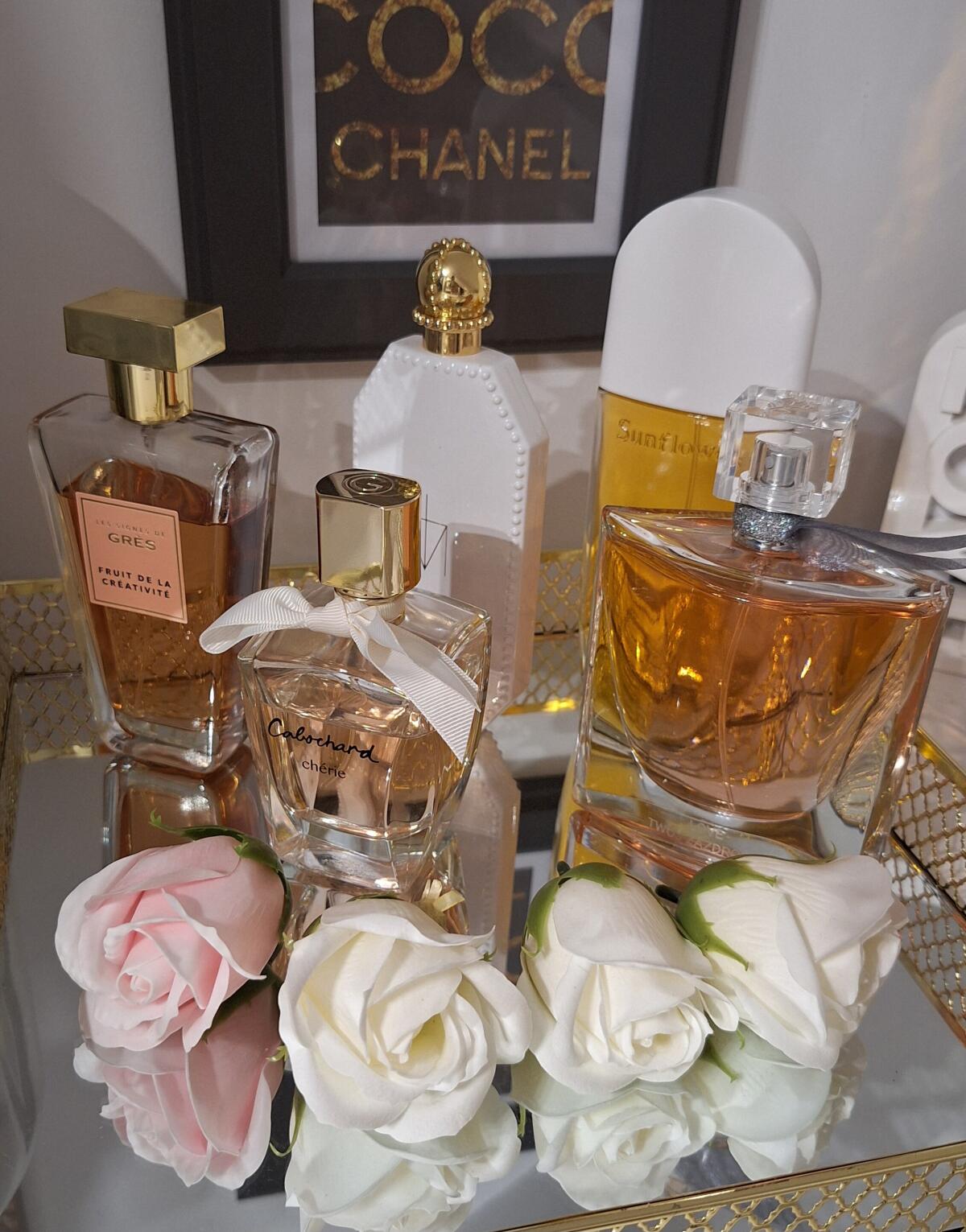 عطر ادکلن ترود ار در مدونا - Truth or Dare Madonna - بررسی، قیمت و خرید