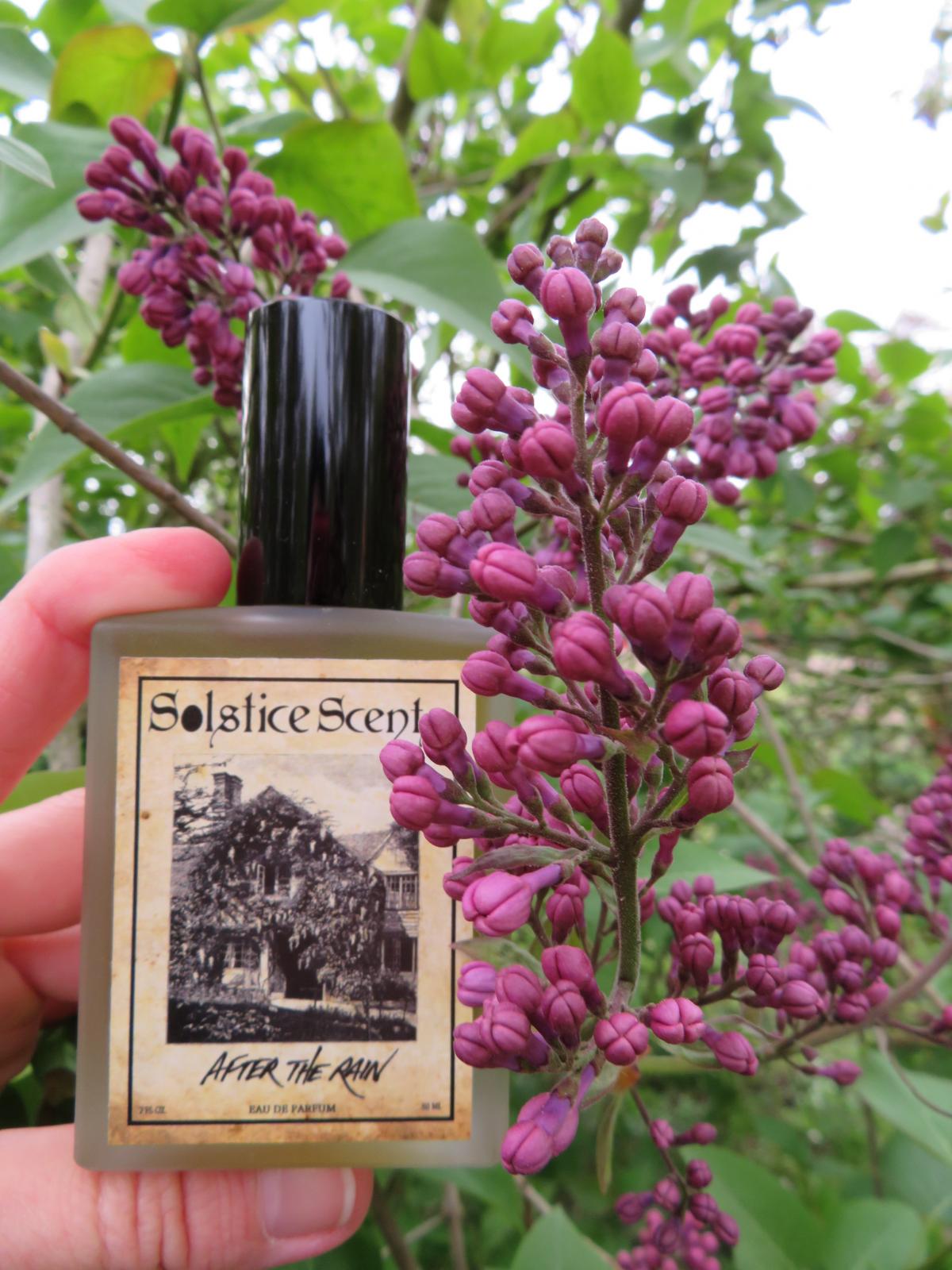 عطر ادکلن افتر دِ رِین سولستیس سنتس - After the Rain Solstice Scents - بررسی، قیمت و خرید