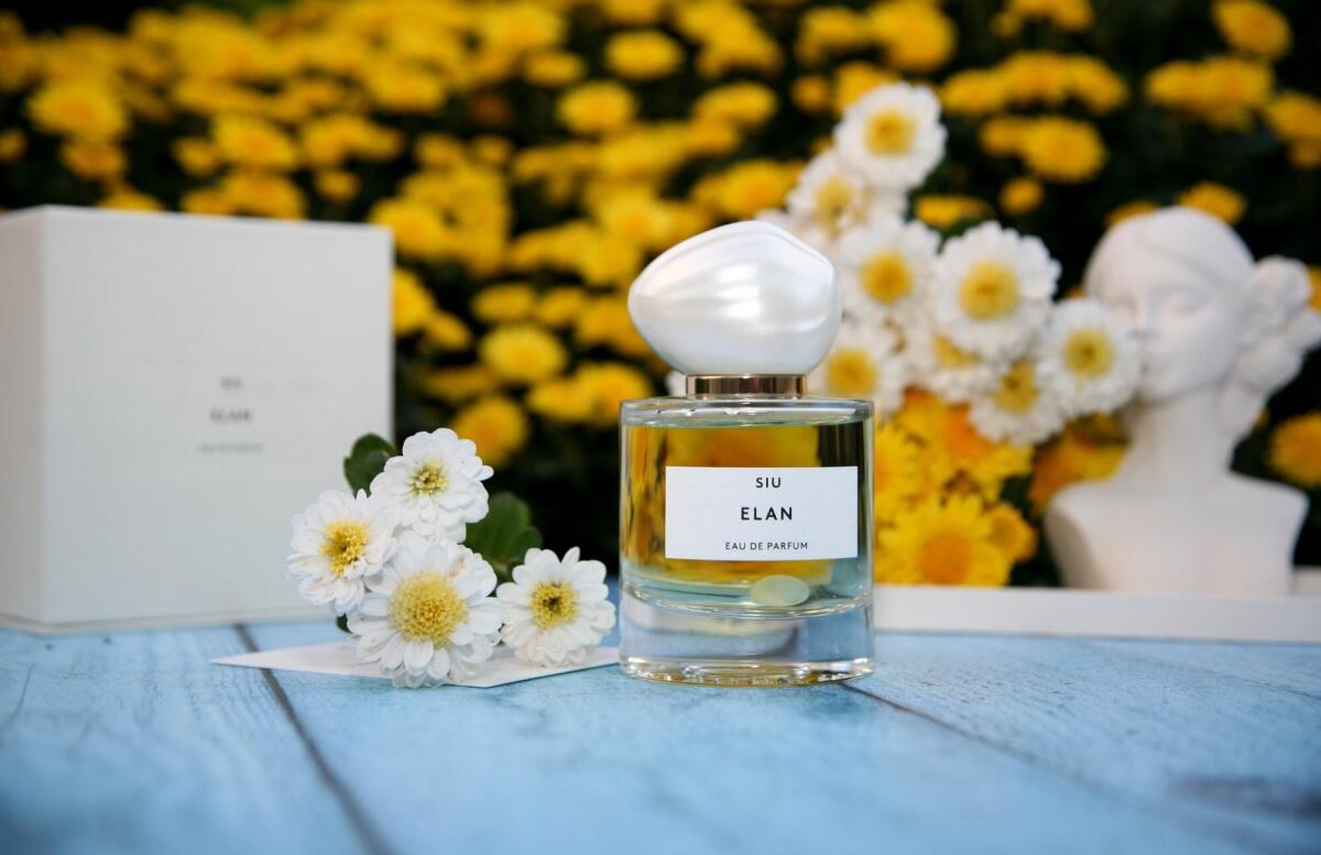 عطر ادکلن اِلان سیو - ELAN SIU - بررسی، قیمت و خرید
