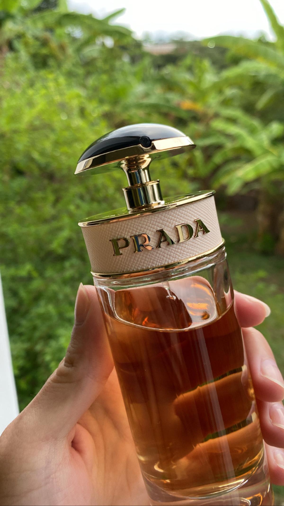 عطر ادکلن پرادا کندی لو پرادا - Prada Candy L'Eau Prada - بررسی، قیمت و خرید