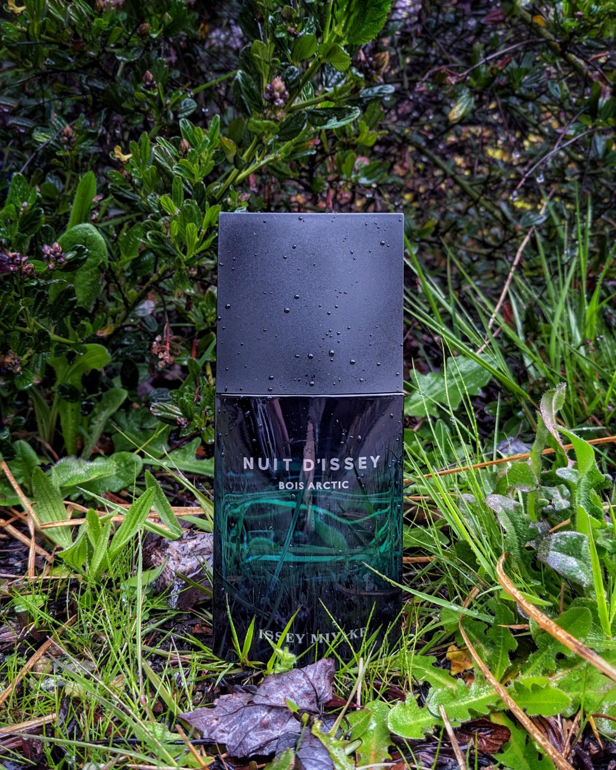 عطر ادکلن نیویی دی ایسه بویس آرکتیک ایسه میاکه - Nuit d'Issey Bois Arctic Issey Miyake - بررسی، قیمت و خرید