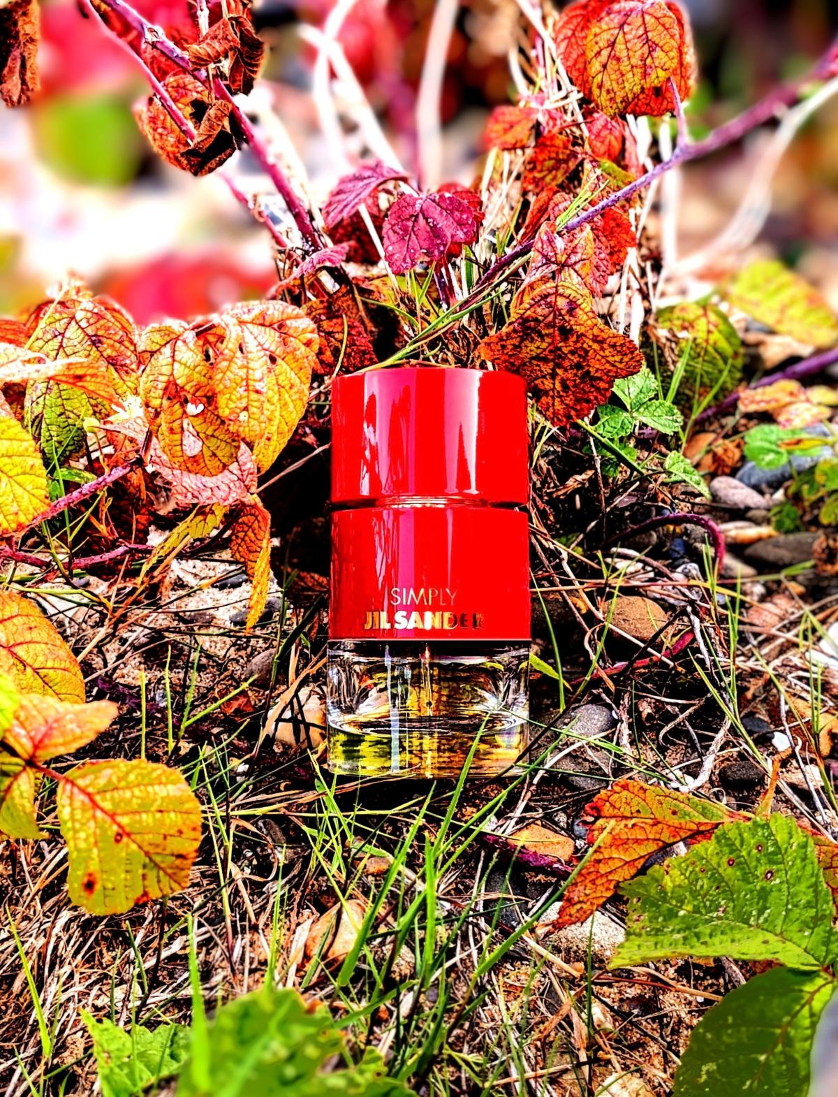 عطر ادکلن سیمپلی جیل ساندر الکسیر جیل سندر - Simply Jil Sander Elixir Jil Sander - بررسی، قیمت و خرید