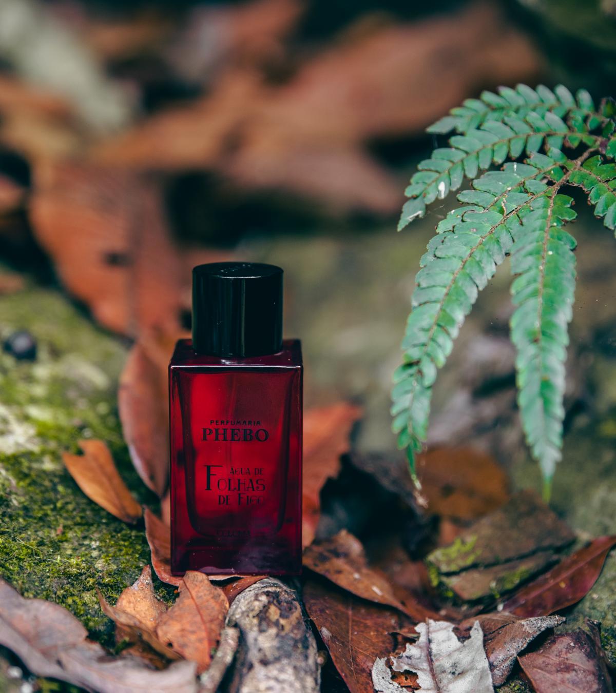 عطر ادکلن آگوا د فلهاس د فیگو فیبو - Água de Folhas de Figo Phebo - بررسی، قیمت و خرید