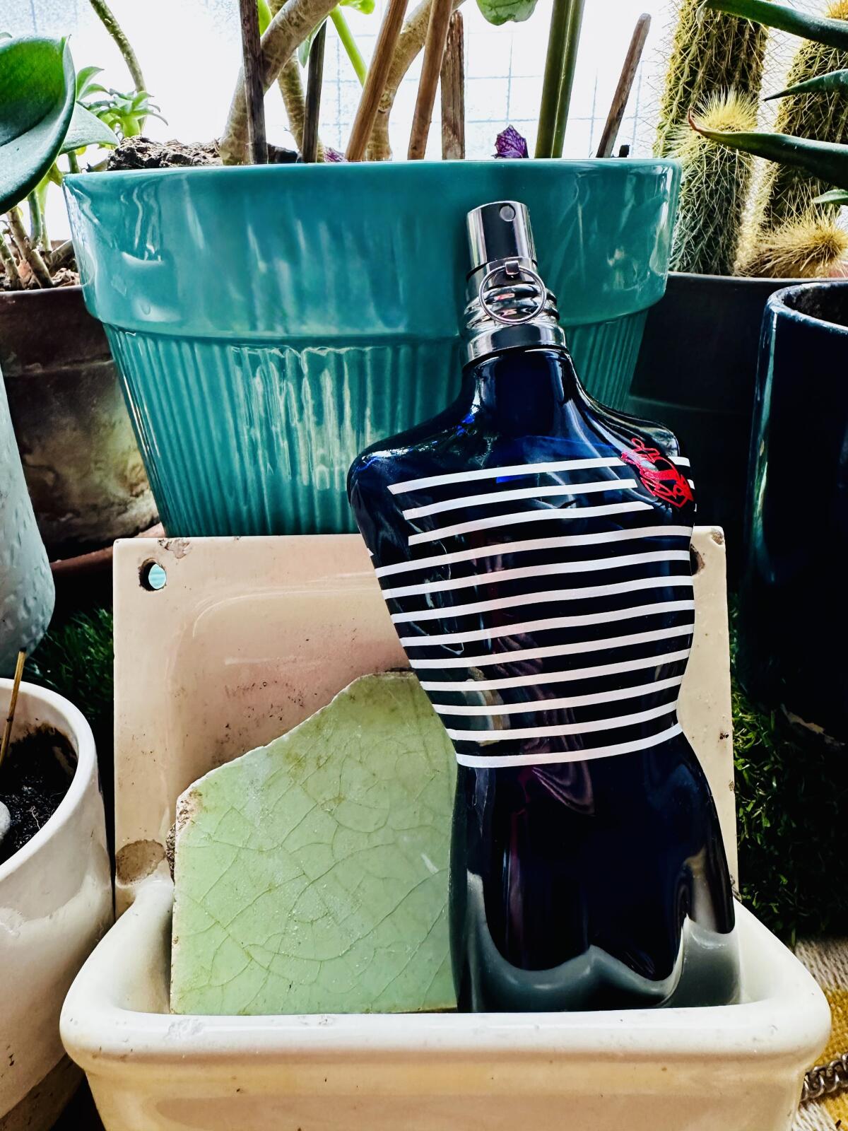 عطر ادکلن له ماله کوپل ژان پل گوتیه - Le Male Couple Jean Paul Gaultier - بررسی، قیمت و خرید