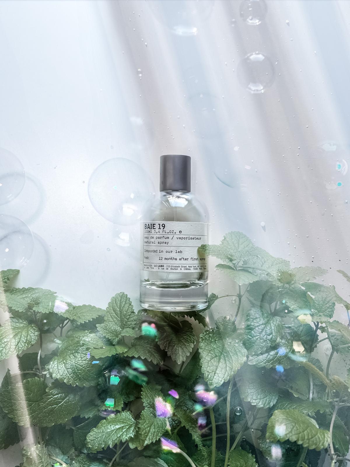 عطر ادکلن بِی ناینتین له لابو - Baie 19 Le Labo - بررسی، قیمت و خرید