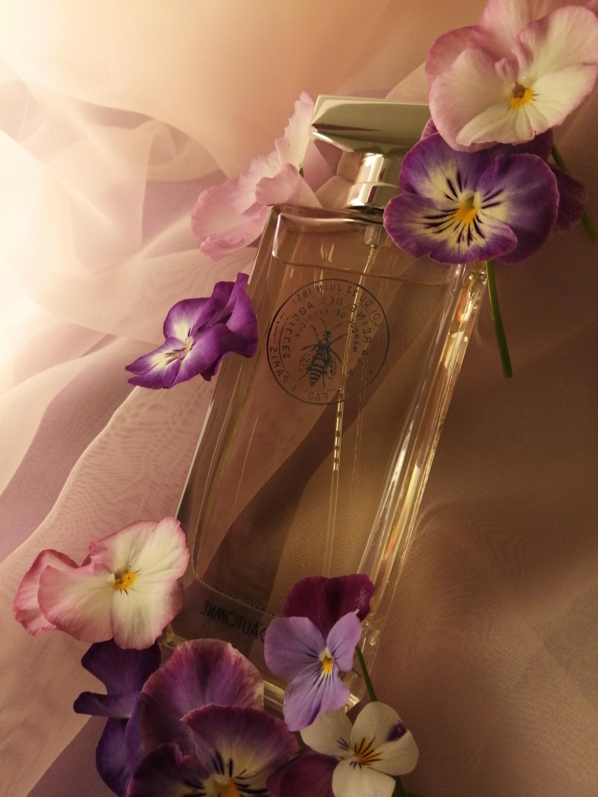 عطر ادکلن پورپر دُتوم میسون ویولت - Pourpre d’Automne Maison Violet - بررسی، قیمت و خرید