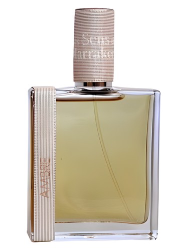 عطر ادکلن اَمبره له‌سانس د مارکِش - Ambre Les Sens de Marrakech - بررسی، قیمت و خرید