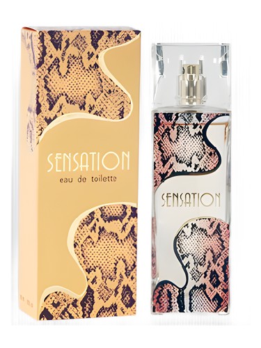 عطر ادکلن سنسیشن پرفیومز لوئی آرمند - Sensation Parfums Louis Armand - بررسی، قیمت و خرید