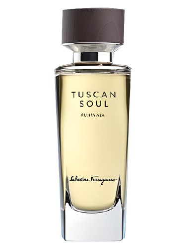 عطر ادکلن پونتا آلا سالواتوره فراگامو - Punta Ala (2014) Salvatore Ferragamo - بررسی، قیمت و خرید