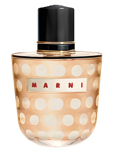 عطر ادکلن مارنی اسپایس مارنی - Marni Spice Marni - بررسی، قیمت و خرید