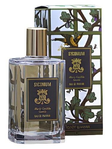 عطر ادکلن سیکونیوم ماریا کاندیدا جنتایل - Syconium Maria Candida Gentile - بررسی، قیمت و خرید