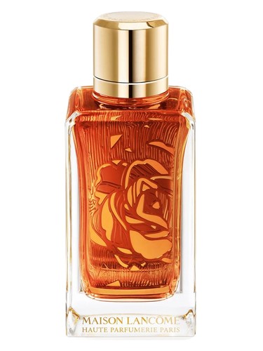 عطر ادکلن اود بوکه لانکوم - Oud Bouquet Lancôme - بررسی، قیمت و خرید