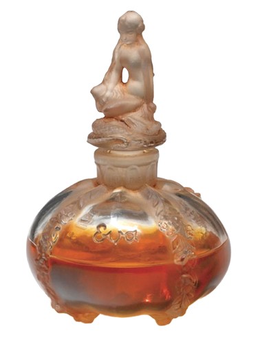 عطر ادکلن اِوا لوبین - Eva Lubin - بررسی، قیمت و خرید